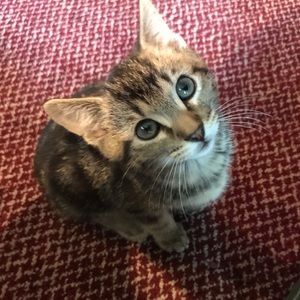 Meet your Posher, Michelle